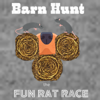 Funny Barn Hunt Barn Hunt The Fun Rat Race With Cute Rats Wool Snapback Cap