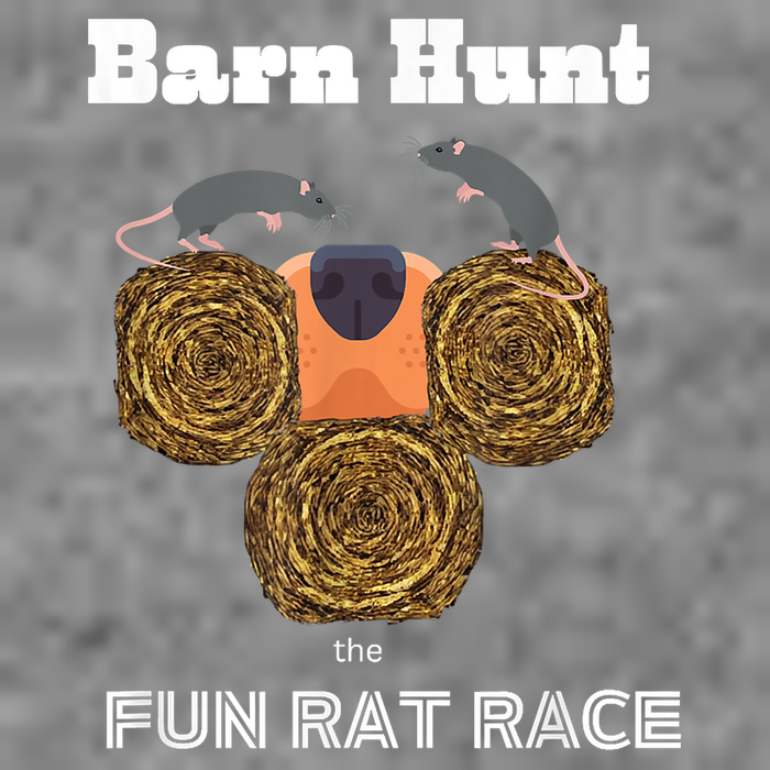 Funny Barn Hunt Barn Hunt The Fun Rat Race With Cute Rats Wool Snapback Cap