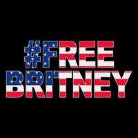 Free Britney Hashtag Freebritney Freebritney Usa Flag T-Shirt