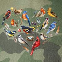 Forest Bird Heart Watching Cardinal Goldfinch Wren Chickadee Legacy Tie Dye Trucker Hat