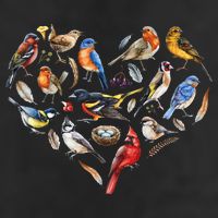 Forest Bird Heart Watching Cardinal Goldfinch Wren Chickadee Tumbler