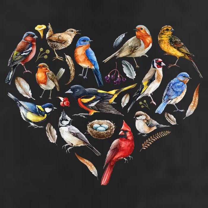 Forest Bird Heart Watching Cardinal Goldfinch Wren Chickadee Tumbler