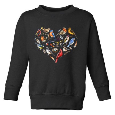 Forest Bird Heart Watching Cardinal Goldfinch Wren Chickadee Toddler Sweatshirt