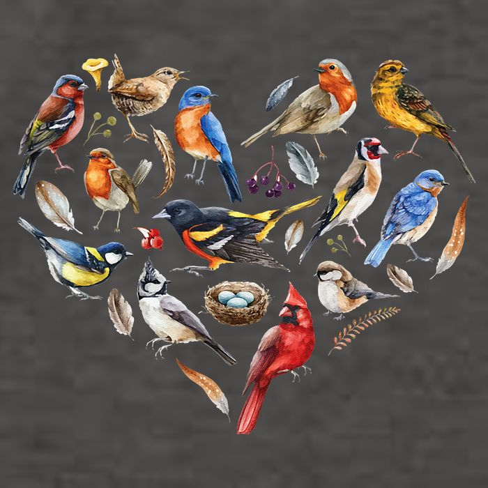 Forest Bird Heart Watching Cardinal Goldfinch Wren Chickadee Vector Backpack