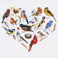 Forest Bird Heart Watching Cardinal Goldfinch Wren Chickadee Garment-Dyed Sweatshirt