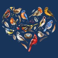 Forest Bird Heart Watching Cardinal Goldfinch Wren Chickadee Short Acrylic Beanie