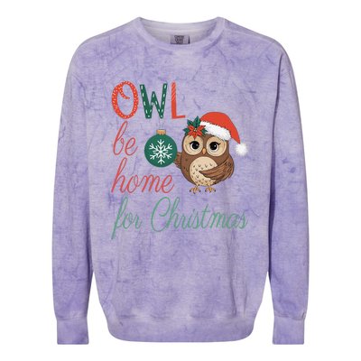 Funny Be Home For Christmas Owl Meme Holiday Xmas Festive Colorblast Crewneck Sweatshirt