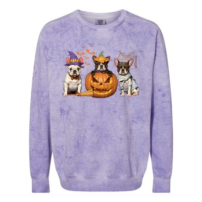 French Bulldog Halloween Witch Mummy Pumpkin Funny Dog Lover Meaningful Gift Colorblast Crewneck Sweatshirt