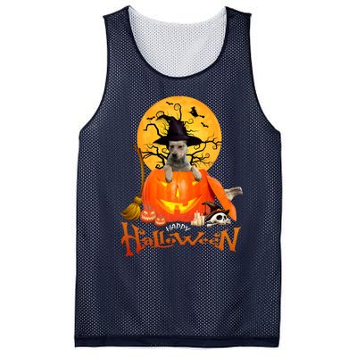 Funny Blue Heeler Dog Spooky Halloween Mesh Reversible Basketball Jersey Tank