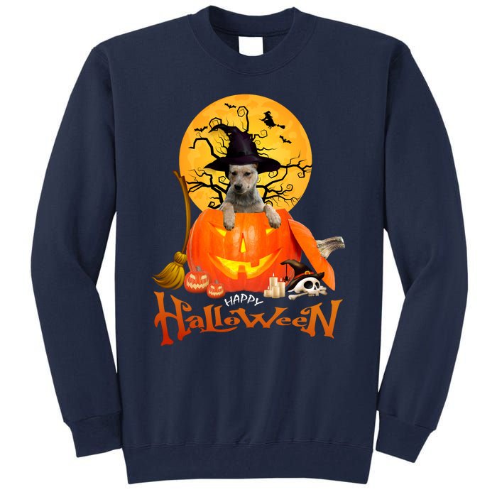 Funny Blue Heeler Dog Spooky Halloween Tall Sweatshirt