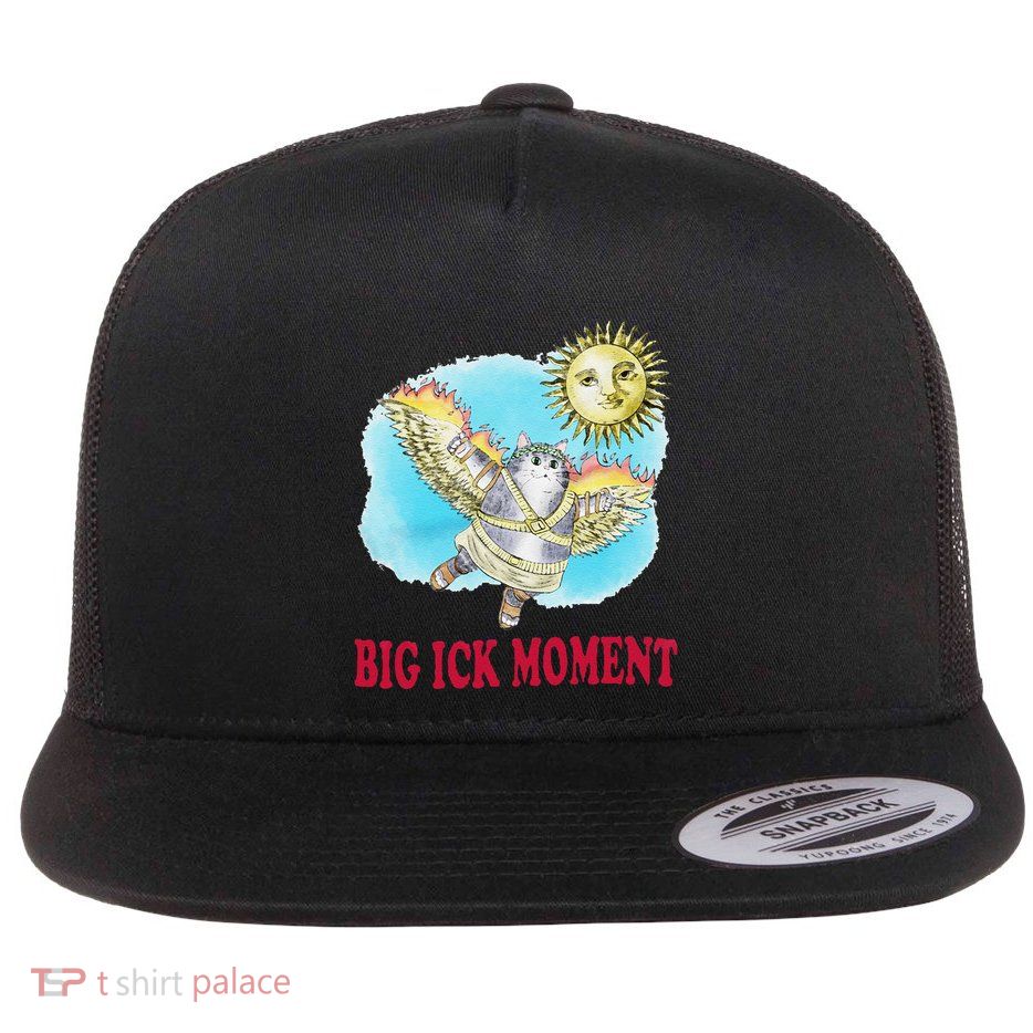 Funny Big Ick Moment Cat Lover Gift Flat Bill Trucker Hat
