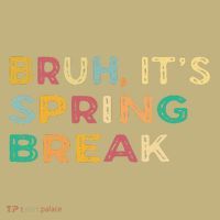 Funny Bruh its spring break Vintage spring break 2025 T-Shirt