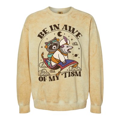 Funny Be In Awe Of My Tism Raccoon Possum Colorblast Crewneck Sweatshirt