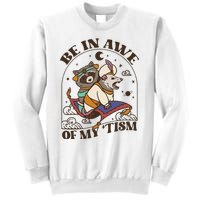 Funny Be In Awe Of My Tism Raccoon Possum Sweatshirt