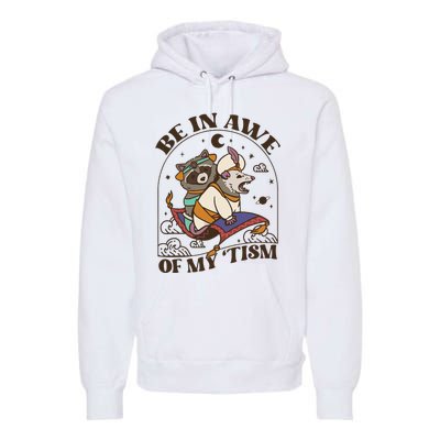 Funny Be In Awe Of My Tism Raccoon Possum Premium Hoodie