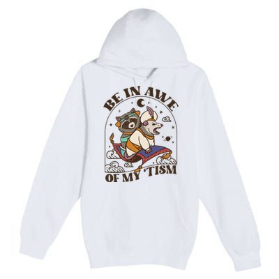 Funny Be In Awe Of My Tism Raccoon Possum Premium Pullover Hoodie