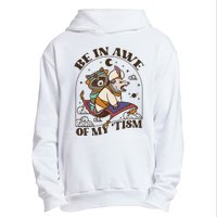 Funny Be In Awe Of My Tism Raccoon Possum Urban Pullover Hoodie