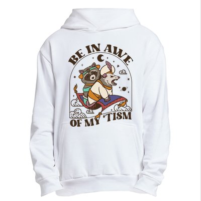 Funny Be In Awe Of My Tism Raccoon Possum Urban Pullover Hoodie