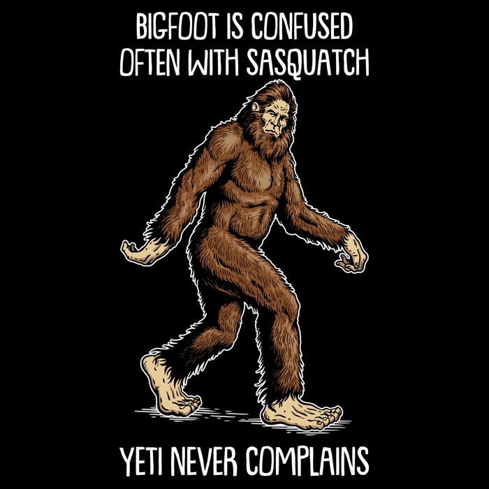 Funny Bigfoot Is Confused Often With Sasquatch Yeti Never Complains 16 in Basic Backpack