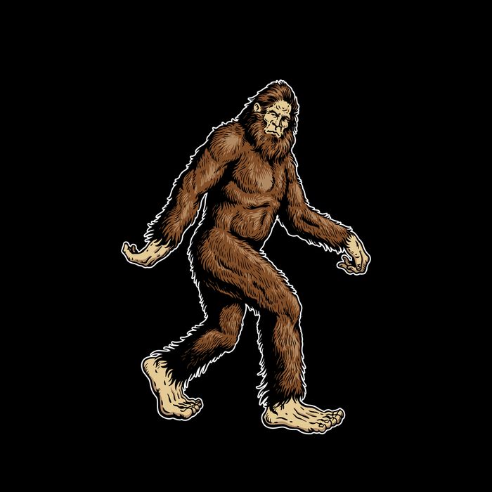 Funny Bigfoot Is Confused Often With Sasquatch Yeti Never Complains 16oz Travel Tumbler