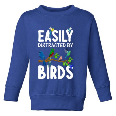 Funny Bird Lover Art Ornithology Bird Watcher Gift Toddler Sweatshirt