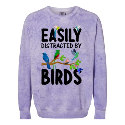 Funny Bird Lover Art Ornithology Bird Watcher Cool Gift Colorblast Crewneck Sweatshirt