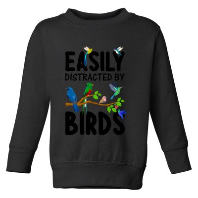 Funny Bird Lover Art Ornithology Bird Watcher Cool Gift Toddler Sweatshirt