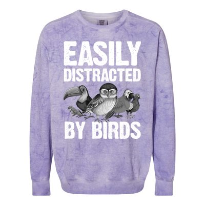 Funny Bird Lover Art Ornithology Bird Watcher Gift Colorblast Crewneck Sweatshirt