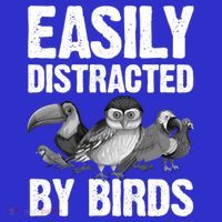 Funny Bird Lover Art Ornithology Bird Watcher Gift Tall T-Shirt
