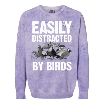 Funny Bird Lover Art Ornithology Bird Watcher Gift Colorblast Crewneck Sweatshirt