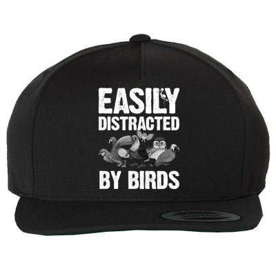 Funny Bird Lover Art Ornithology Bird Watcher Gift Wool Snapback Cap