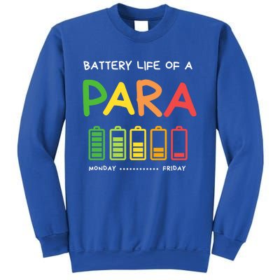 Funny Battery Life Of A Para Professional Teacher School Cool Gift Sweatshirt