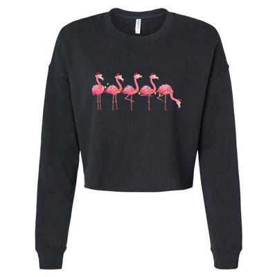 Flamingo Bird Lover Xmas Light Santa Pink Flamingo Christmas Gift Cropped Pullover Crew