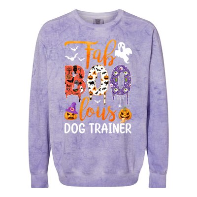 Fab Boo Lous Dog Trainer Ghost Pumpkin Halloween Dog Trainer Cute Gift Colorblast Crewneck Sweatshirt