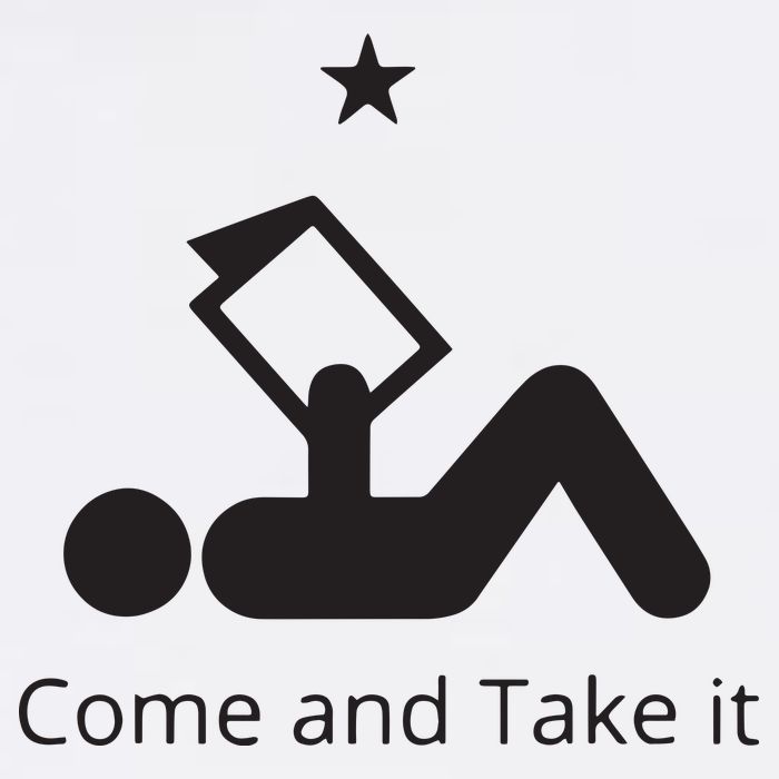 Funny Books Lovers Quote Come And Take It Adult Drive Performance Visor