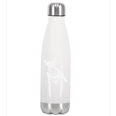 French Bulldog Lazy Halloween Costume Cute Frenchie Pumpkin Stainless Steel Insulated Water Bottle