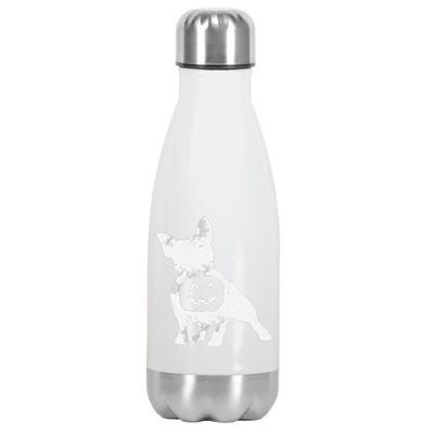 French Bulldog Lazy Halloween Costume Cute Frenchie Pumpkin Stainless Steel Insulated Water Bottle