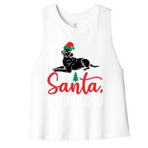 Funny Black Lab Christmas Dear Santa Labrador Retriever Cool Gift Women's Racerback Cropped Tank