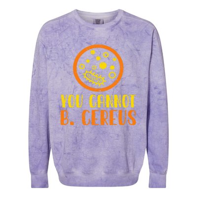 Funny Bacteria Microbiology You Cannot B. Cereus Lab Gift Colorblast Crewneck Sweatshirt