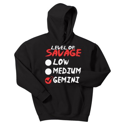 Funny Birthday May June Horoscope I Level of Savage Gemini Kids Hoodie