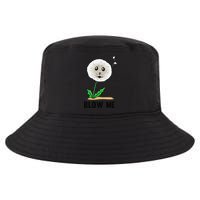 Funny Blow Me Seal Face Dandelion Meme Cool Comfort Performance Bucket Hat