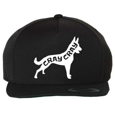 Funny Belgian Malinois Cray Cray Dog Wool Snapback Cap