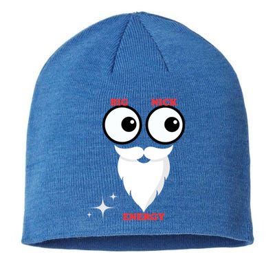 Funny Big Nick Energy Big Nick Energy Big Nick Energy Cool Gift Sustainable Beanie