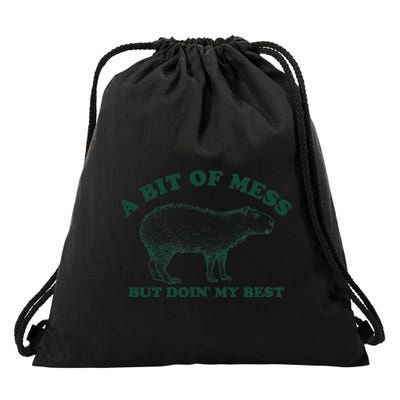 Funny Bit Of A Mess Capybara Meme Graphic For Women Drawstring Bag