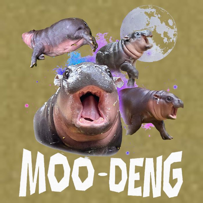 Famous Baby Pygmy Hippo Moo Deng Garment-Dyed Women's Muscle Tee