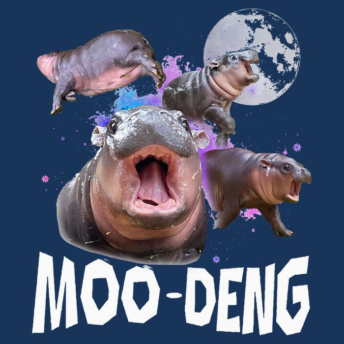 Famous Baby Pygmy Hippo Moo Deng Infant Baby Jersey Bodysuit