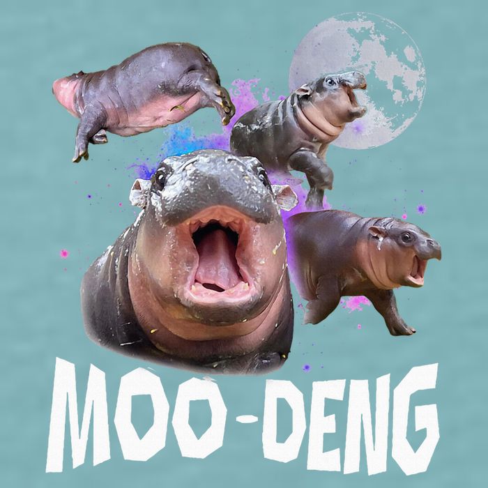Famous Baby Pygmy Hippo Moo Deng Sueded Cloud Jersey T-Shirt