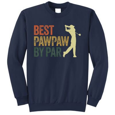 Funny Best Pawpaw By Par Apparel, Golf Dad Father's Day Sweatshirt