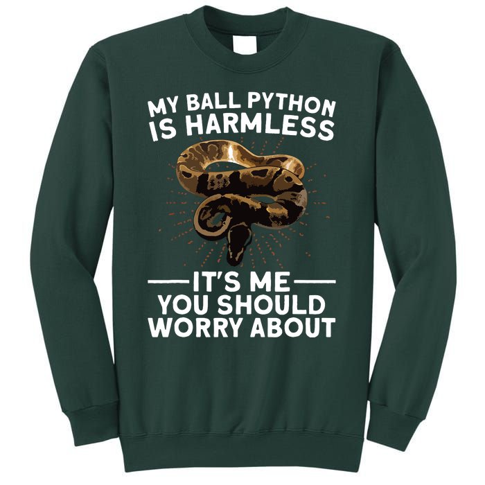 Funny Ball Python For Men Women Snake Lover Reptile Animal Sweatshirt