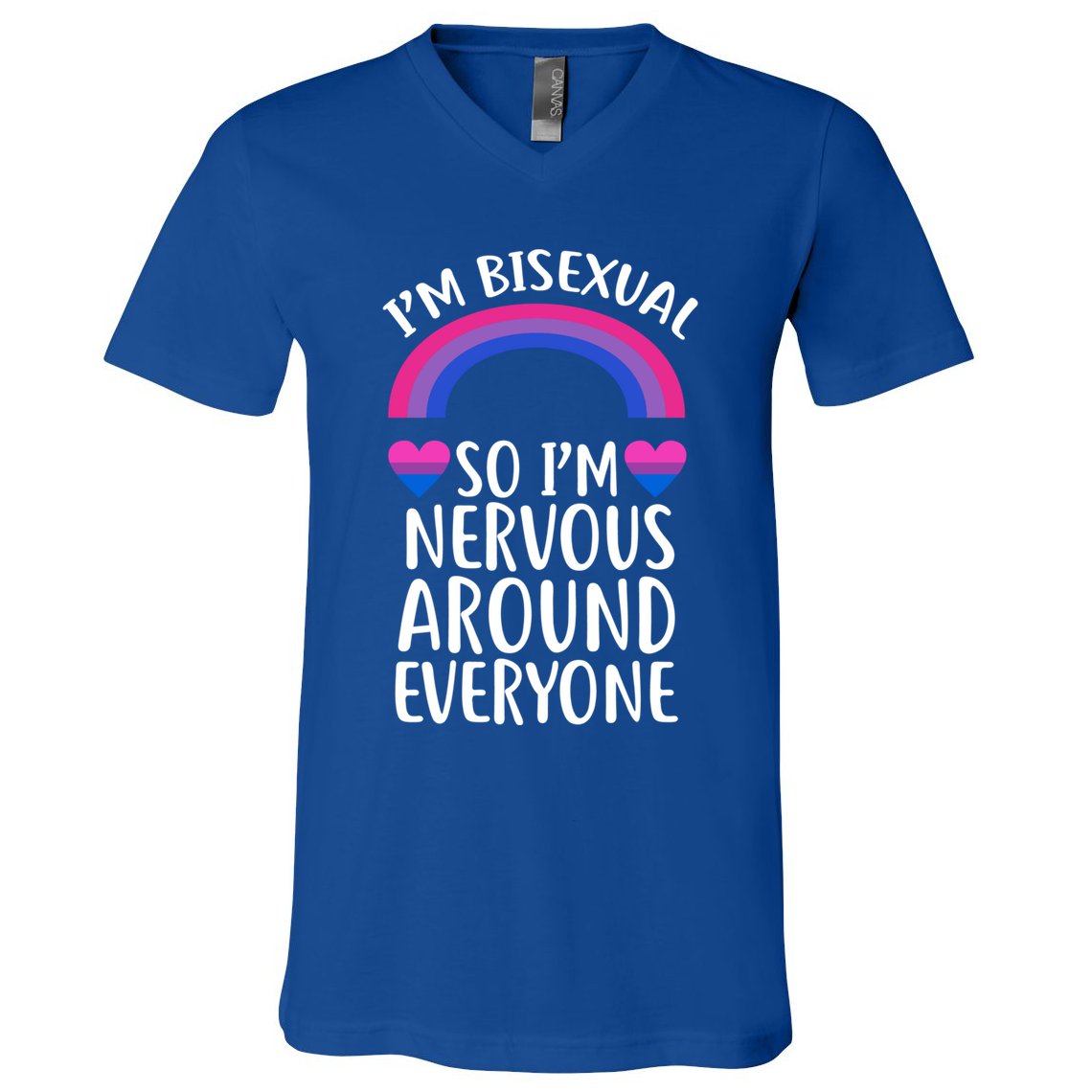 Funny Bisexual Pride Flag Colored Quote Gift V-Neck T-Shirt